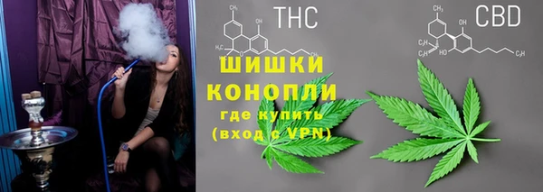 PSILOCYBIN Абдулино