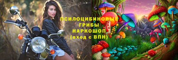 винт Абаза