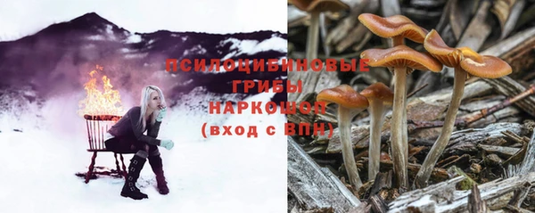 PSILOCYBIN Абдулино