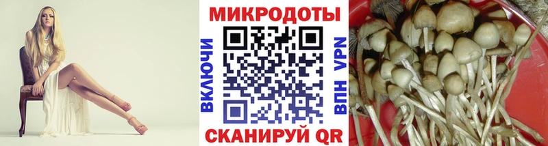 KRAKEN ссылка  Рыльск  Галлюциногенные грибы прущие грибы 